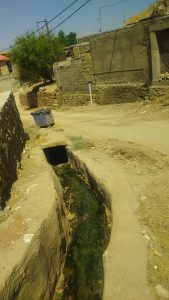 عکس ارسالی شهروندی