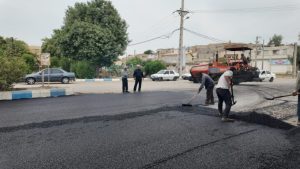 کاشت نخل تزئینی پالم در مسیر بلوار نمره یک به دوراهی بی‌بیان