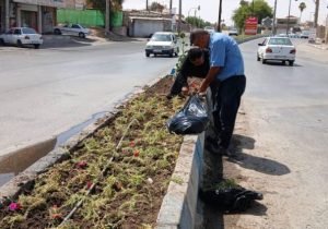 تشریح عملکرد هفتگی معاونت خدمات شهری شهرداری مسجدسلیمان در حوزه فضای سبز / گسترش اقدامات عمرانی و نگهداری در راستای بهبود فضای سبز شهری