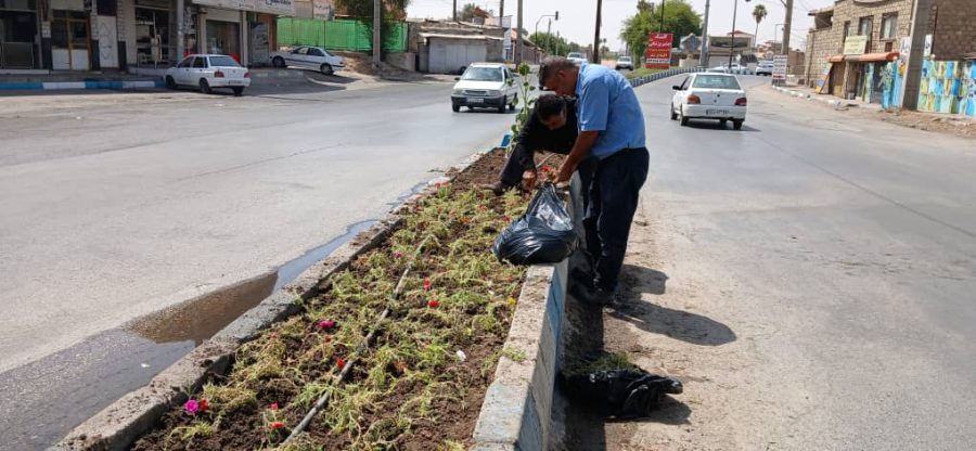 تشریح عملکرد هفتگی معاونت خدمات شهری شهرداری مسجدسلیمان در حوزه فضای سبز / گسترش اقدامات عمرانی و نگهداری در راستای بهبود فضای سبز شهری