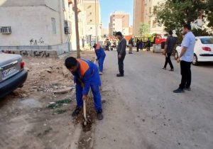 پاکسازی و هرس فضای سبز و درختان شهرک ولیعصر در پاسخ به مطالبه ساکنان