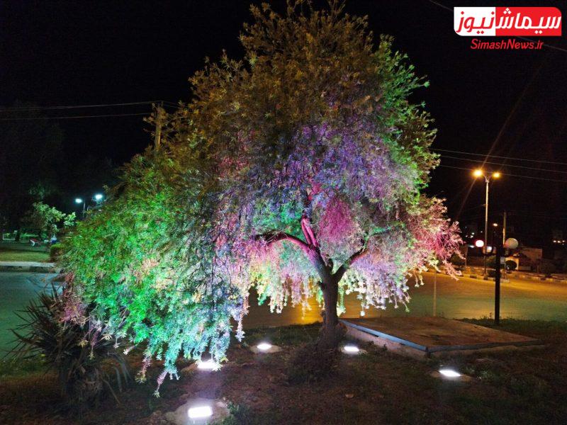 تلاش شهرداری مسجدسلیمان در زیبا سازی فضای پارک ها و میادین شهر + تصاویر