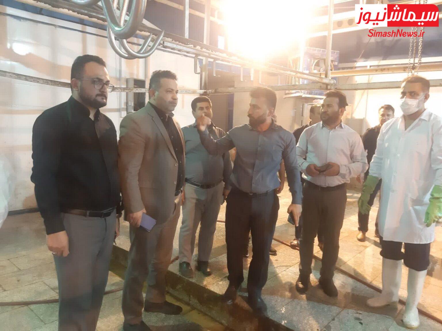 بازدید محمد خسروی شهردار مسجدسلیمان از کشتارگاه دام