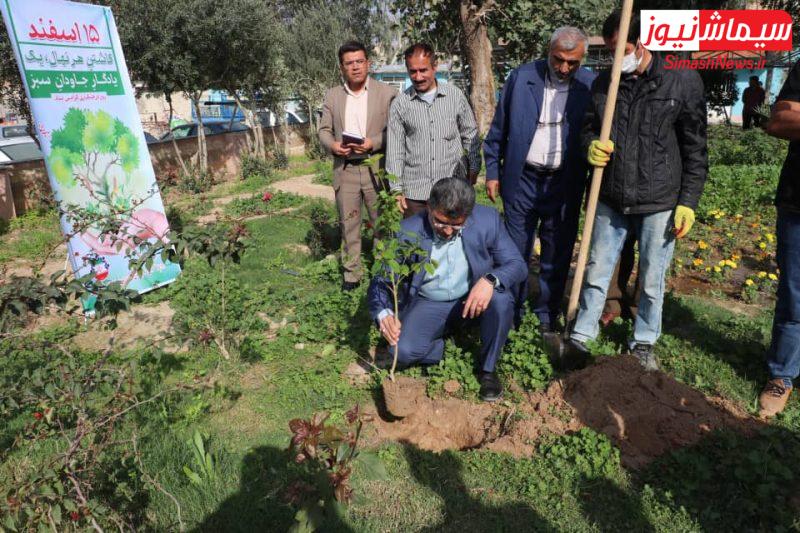 کاشت نهال به مناسبت روز درختکاری توسط شهردار مسجدسلیمان