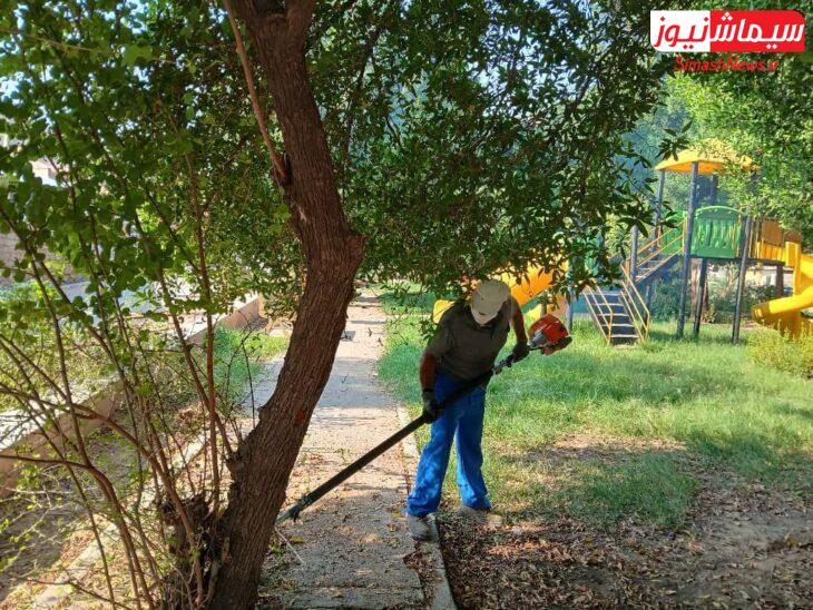 انجام عملیات هرس درختان، حاشیه زنی و پاکسازی بوستان منطقه نمره دو توسط شهرداری مسجدسلیمان