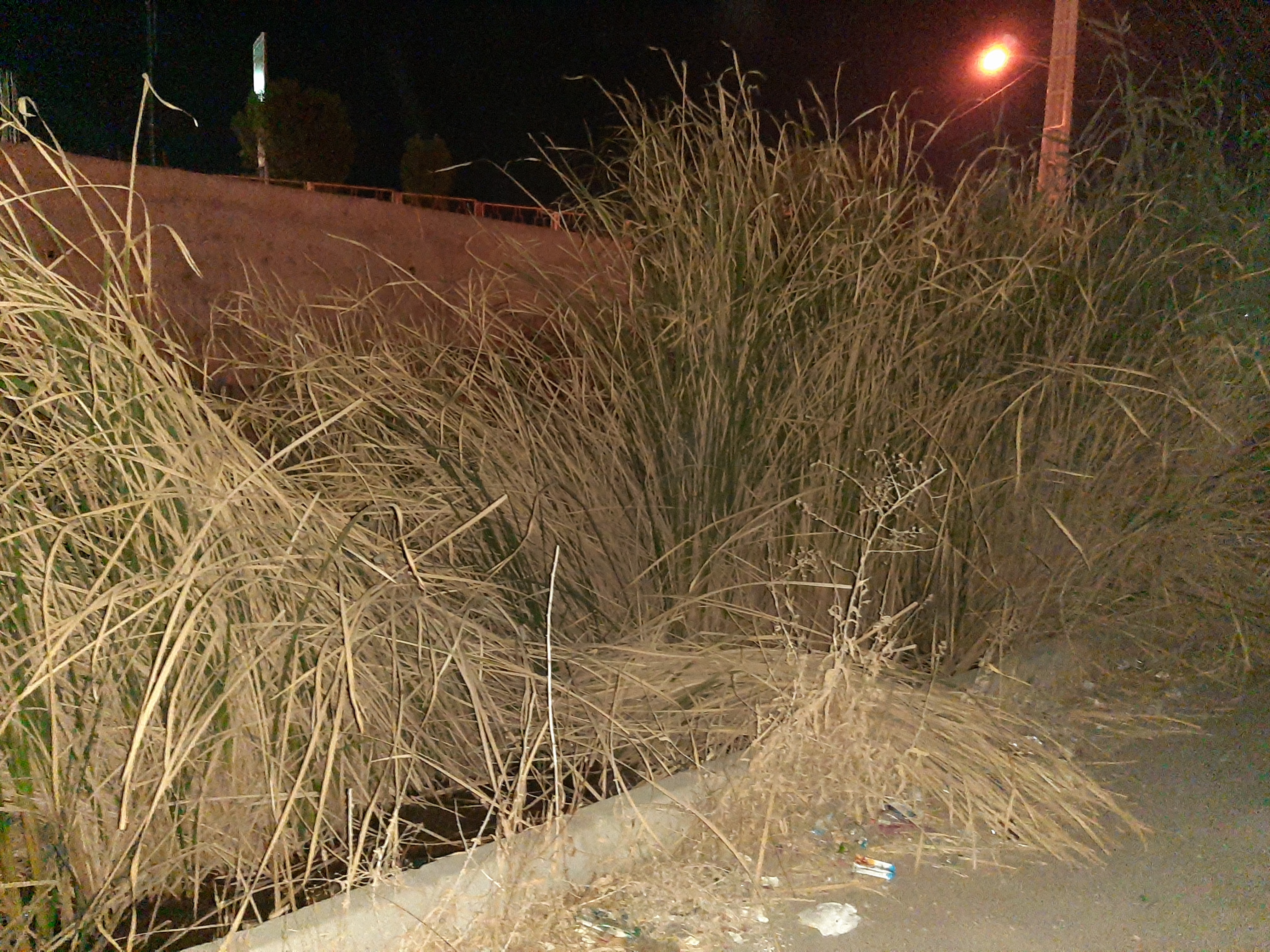 اداره آبفا و شهرداری رسیدگی کنند!